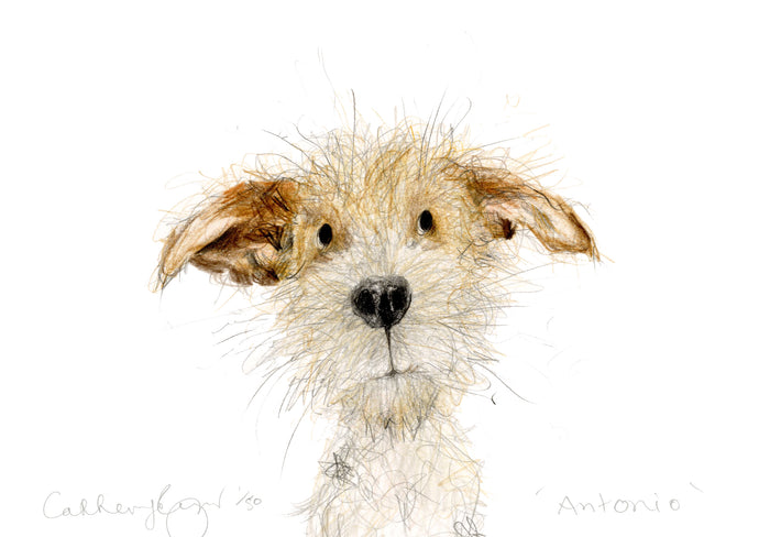 'Antonio' A5 dog print