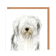 Load image into Gallery viewer, Old English Sheepdog Card for all Occasions - Bert