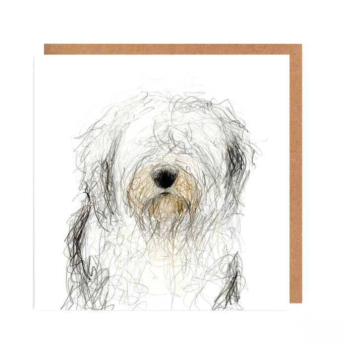 Bert Old English Sheepdog Card Blank