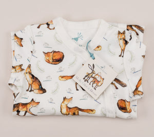 Dexter fox babygrow folded