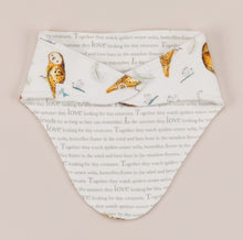 Load image into Gallery viewer, Olive owl bandana bib back, showing story text side. 