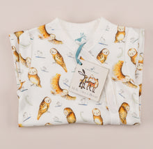 Load image into Gallery viewer, Olive owl babygrow folded with Molly, Olive and Dexter story booklet on top.