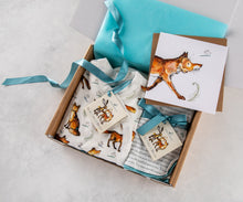 Load image into Gallery viewer, Gift wrapped Dexter fox baby gift bundle in gift box with turquoise tissue paper and ribbon and a matching card. 