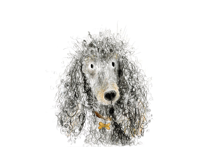 Jem the Poodle A5 Print