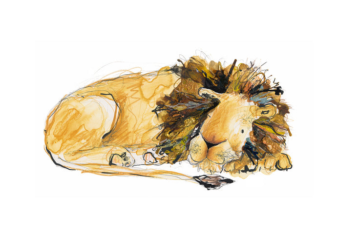 Arlo the Lion Print - 'Arlo Trying to Sleep'