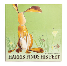 Load image into Gallery viewer, &#39;Harris&#39; (framed hare original painting)