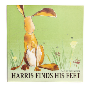 'Harris' (framed hare original painting)