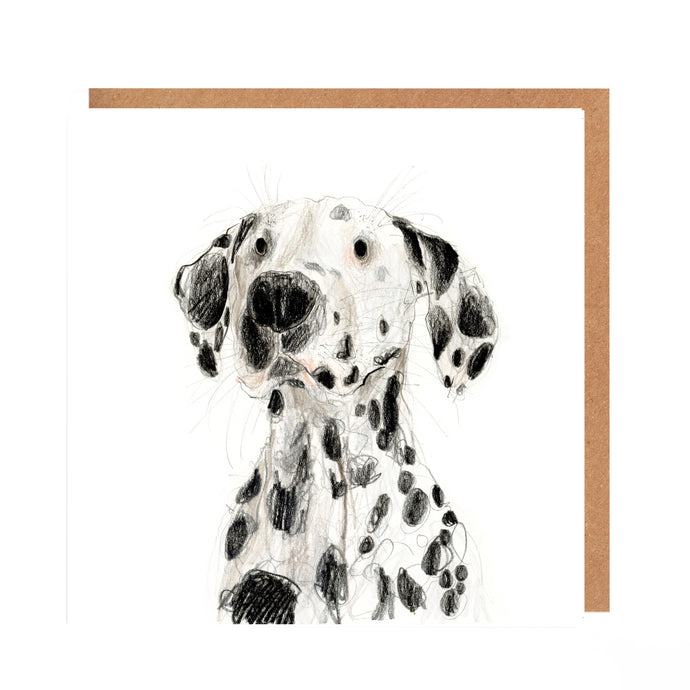 Dalmatian Dog Card for all Occasions - Bethany
