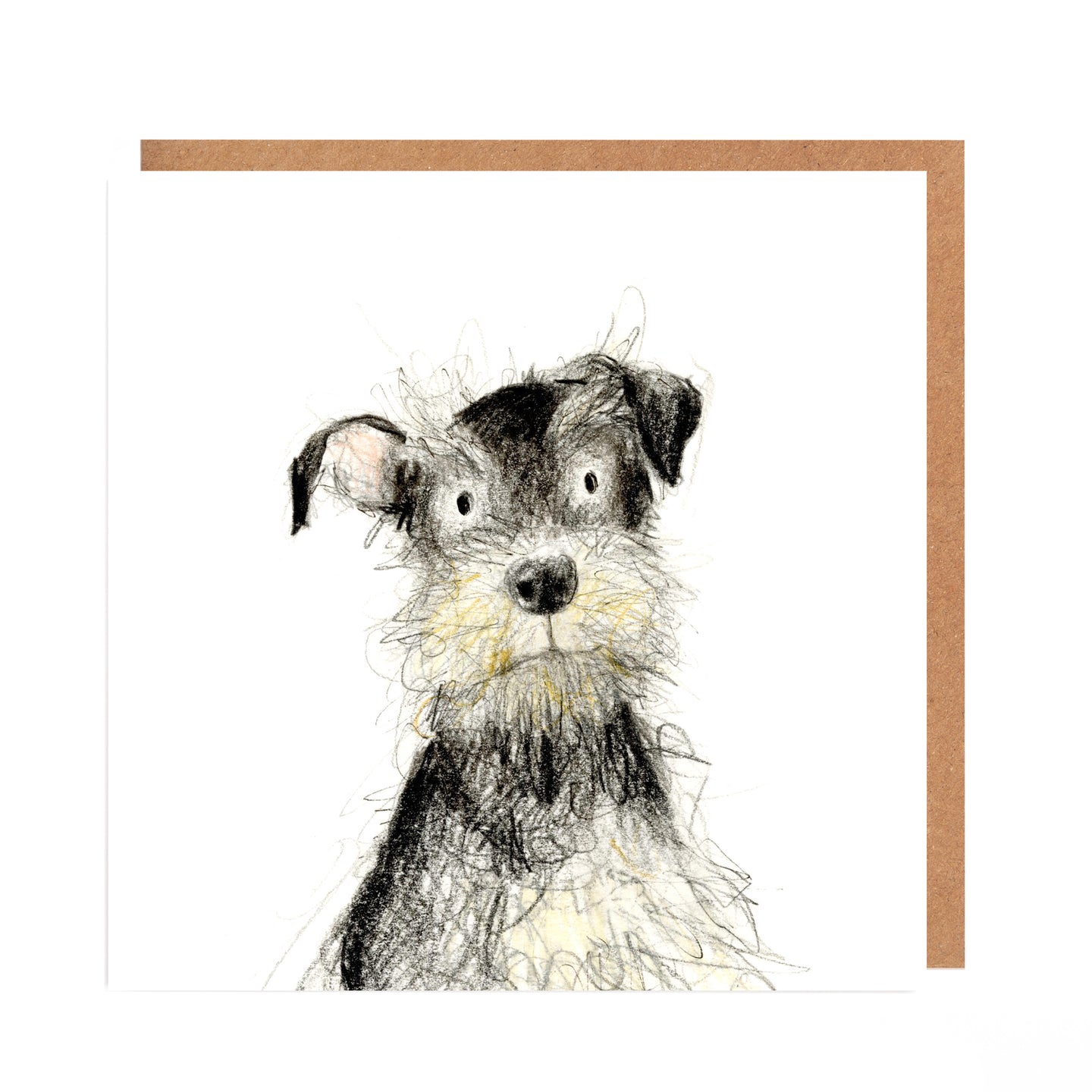 Cyril Schnauzer Dog Card Blank
