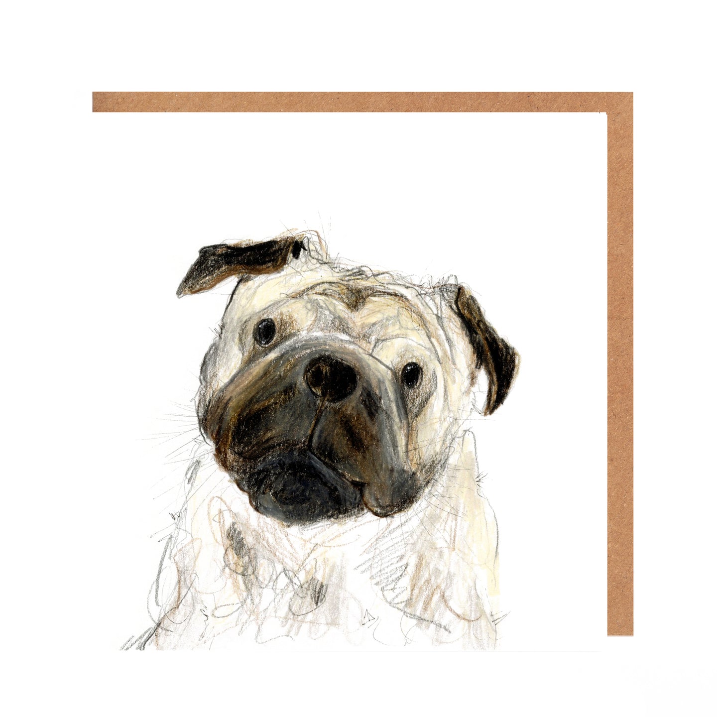 Pug Dog Card for all Occasions - Edwin