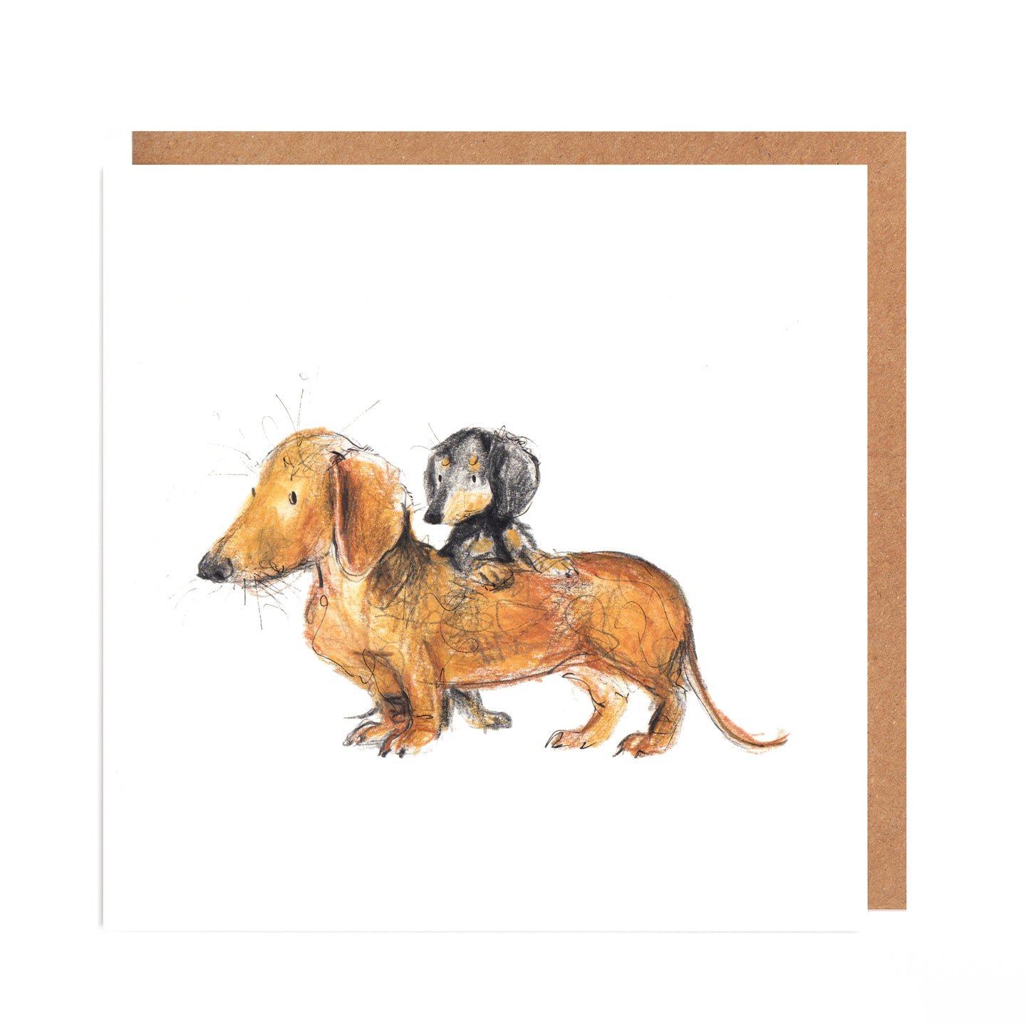 Matilda and Robyn Dachshund Card Blank