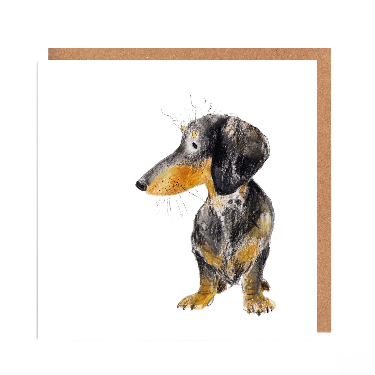 Otto Dachshund Card for all Occasions