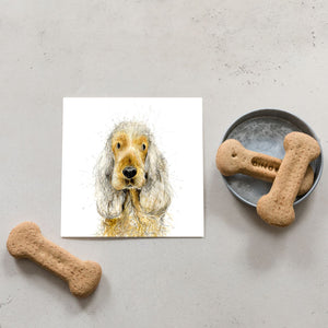 Spaniel Dog Card for all Occasions - Sadie